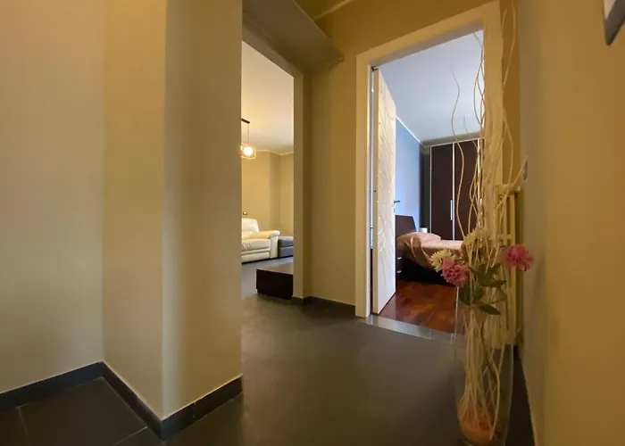 Chicco Family By Cinelli